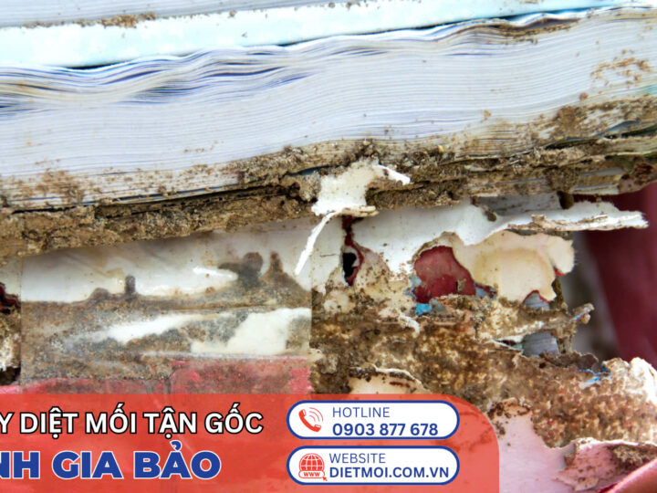 Dịch Vụ Diệt Mối Tại Thủ Đức – Giải Pháp Xử Lý Tận Gốc, An Toàn, Uy Tín 2025